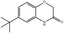 6-(TERT-BUTYL)-2H-1,4-BENZOXAZIN-3(4H)-ONE|6-(叔丁基)-2H-苯并[B][1,4]噁嗪-3(4H)-酮