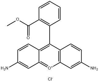 Rhodamine 123