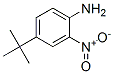 4-TERT-부틸-2-니트로아닐린