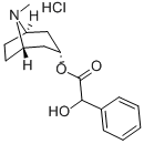 ホマトロピン塩酸塩
