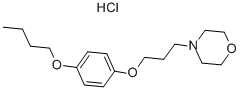 Pramoxine hydrochloride