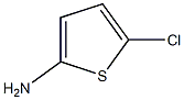 5-CHLORO-THIOPHEN-2-YLAMINE, 63806-78-0, 结构式