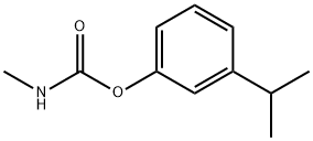 MIP