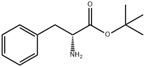 D-フェニルアラニンtert-ブチル 化学構造式