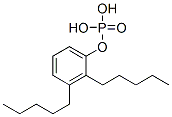 dipentylphenyl dihydrogen phosphate|二戊基苯酚磷酸二氢酯