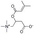3-Methylcrotonyl L-Carnitine Struktur