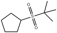 64818-65-1 Cyclopentane, [(1,1-dimethylethyl)sulfonyl]- (9CI)