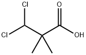3,3-dichloro-2,2-dimethylpropionic acid|