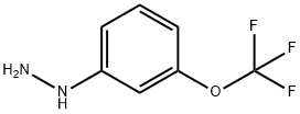 3-trifluoromethoxy phenylhydrazine|3-三氟甲氧基苯肼