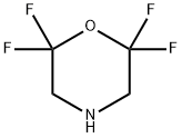 2,2,6,6-TETRAFLUOROMORPHOLINE 结构式