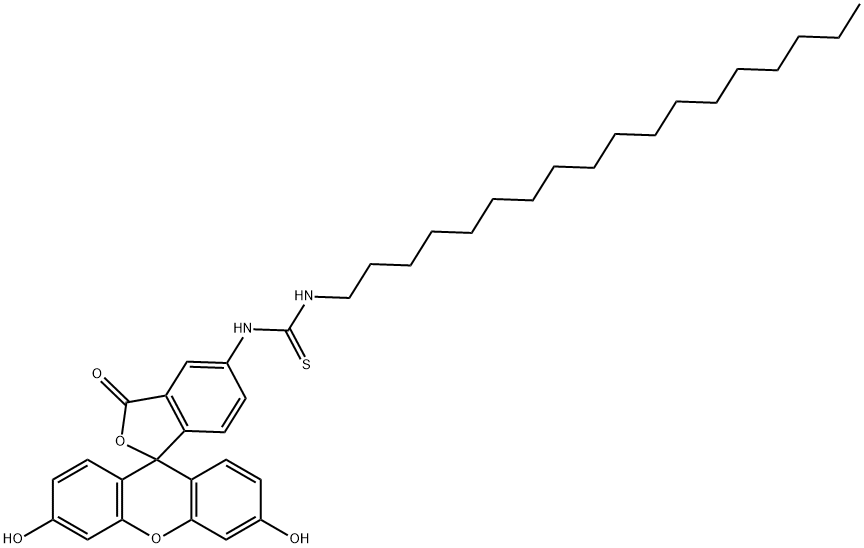 N`-十八烷基荧光素-5-硫脲,65603-18-1,结构式