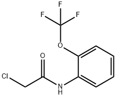 2-氯-N-[2-(三氟甲氧基)苯基]乙酰胺,656227-27-9,结构式