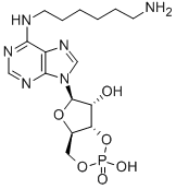 6-AH-CAMP Structure