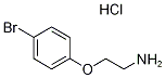 [2-(4-bromophenoxy)ethyl]amine hydrochloride|2-(4-溴苯氧基)乙烷-1-胺盐酸