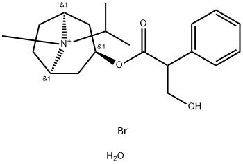 3-(3-Hydroxy-1-oxo-2-phenylpropoxy)-8-methyl-8-(1-methylethyl)-8-azoniabicyclo(3.2.1)octane bromide monohydrate Structure