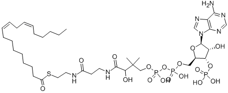 LINOLEOYL COENZYME A Structure