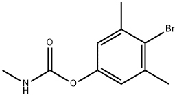 BDMC Structure