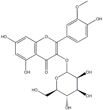 3'-O-Methylquercetin 3-galactoside|异鼠李素-3-O-半乳糖苷