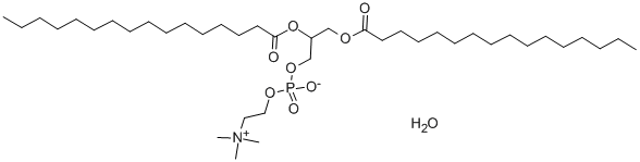 rac-1,2-dipalmitoyl-glycero-3-phosphocholine monohydrate 化学構造式