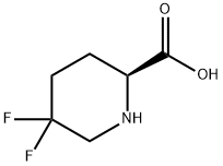 2-피페리딘카르복실산,5,5-디플루오로-,(2S)-(9CI)