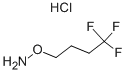 O-(4,4,4-Trifluorobutyl)hydroxylamine hydrochloride
 Structure