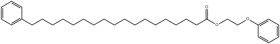 2-phenoxyethyl 18-phenyloctadecanoate|