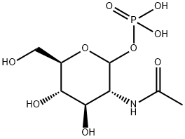 6866-69-9 N-乙酰氨基葡萄糖-1-磷酸