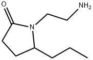 1-(2-aMinoethyl)-5-propyl-2-Pyrrolidinone|