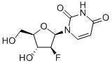 1-(2-Deoxy-2-fluoro-beta-D-arabinofuranosyl)uracil