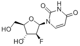 1-(2-脱氧-2-氟-beta-D-阿拉伯呋喃基)尿嘧啶,69123-94-0,结构式