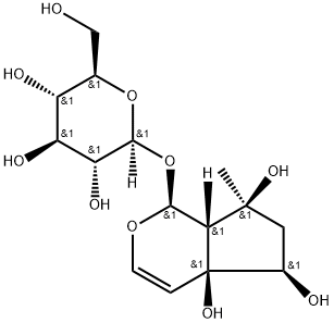 (1S)-1,4a,5,6,7,7aα-ヘキサヒドロ-4aα,5α,7α-トリヒドロキシ-7-メチルシクロペンタ[c]ピラン-1-イルβ-D-グルコピラノシド 化学構造式