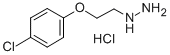 1-(2-(4-chlorophenoxy)ethyl)hydrazine Struktur
