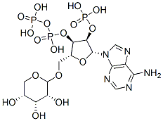 diphosphoribosyl-adenosine monophosphate 化学構造式