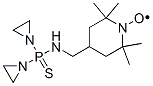 1-Piperidinyloxy, 4-(((bis(1-aziridinyl)phosphinothioyl)amino)methyl)- 2,2,6,6-tetramethyl- Struktur