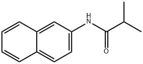 N-NAPHTHALEN-2-YL-ISOBUTYRAMIDE 化学構造式