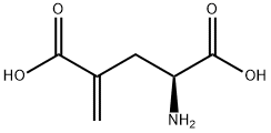 GAMMA-METHYLENE-DL-GLUTAMIC ACID Struktur