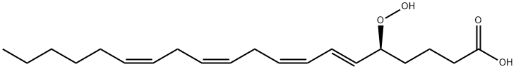 5-ヒドロペルオキシ-5,8,11,14-イコサテトラエン酸 化学構造式