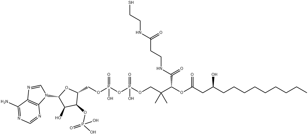 [(2R,3R,4R,5R)-5-(6-aminopurin-9-yl)-4-hydroxy-2-[[hydroxy-[hydroxy-[3-hydroxy-3-[2-[2-[(3S)-3-hydroxydodecanoyl]sulfanylethylcarbamoyl]ethylcarbamoyl]-2,2-dimethyl-propoxy]phosphoryl]oxy-phosphoryl]oxymethyl]oxolan-3-yl]oxyphosphonic acid Structure