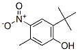 3-Methyl-6-tert-butyl-4-nitrophenol,72373-70-7,结构式