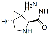 3-Azabicyclo[3.1.0]hexane-2-carboxylicacid,hydrazide,[1R-(1alpha,2beta,5alpha)]-(9CI) 化学構造式