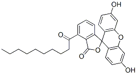 decanoyl fluorescein Structure