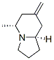 Indolizine, octahydro-5-methyl-7-methylene-, (5R,8aR)- (9CI) 结构式