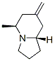 Indolizine, octahydro-5-methyl-7-methylene-, (5S,8aS)- (9CI) Struktur