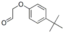 [4-(1,1-dimethylethyl)phenoxy]acetaldehyde Structure