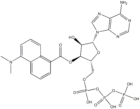 5-(dimethylamino-1-naphthoyl)adenosine triphosphate,72947-54-7,结构式