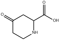 4-氧代哌啶-2-羧酸 结构式