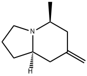 Indolizine, octahydro-5-methyl-7-methylene-, (5S,8aR)- (9CI)|