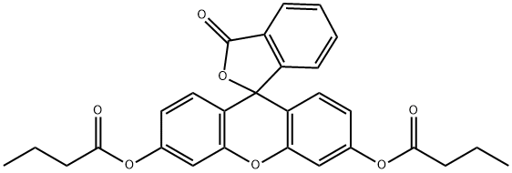 FLUORESCEIN DIBUTYRATE|荧光素二丁酸酯