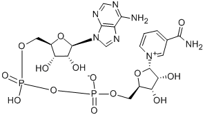 Α-ニコチンアミドアデニンジヌクレオチド 化学構造式