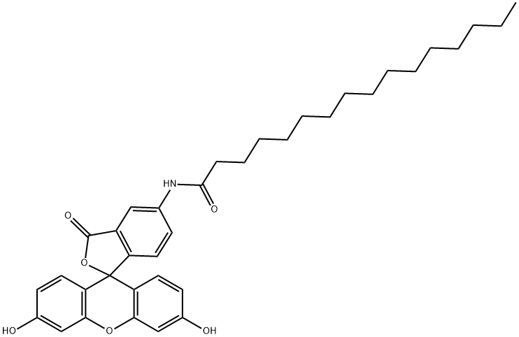 5-HEXADECANOYLAMINOFLUORESCEIN